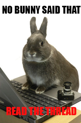 Illustration for article titled No Bunny Said That: A BUNNY BOMB POST